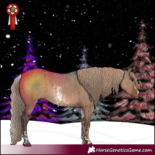 Horse Color:Red Dun  and White Spotted Liver Red Dun Sabino 