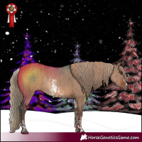 Horse Color:Red Dun and White Spotted Liver Red Dun Sabino