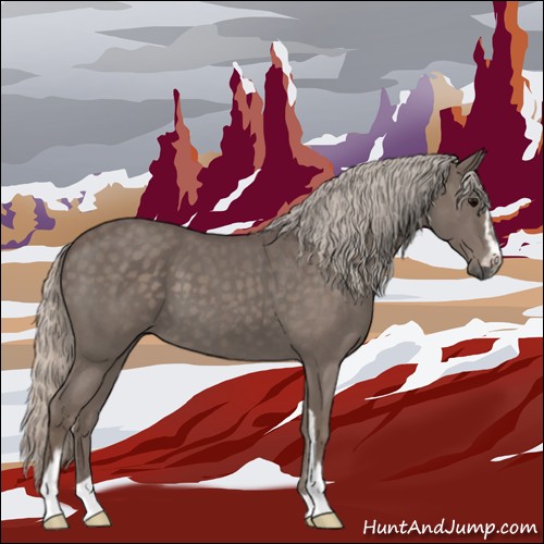 Horse Color:Silver Blue Roan Sabino 