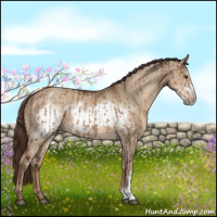 Horse Color:Liver Red Dun  and Liver Red Dun Frame 