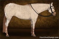 Horse Color:Liver Red Dun Tobiano and Red Dun