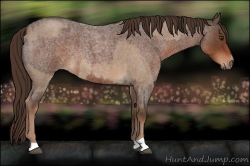 Horse Color:Liver Red Dun Roan and Liver Red Roan