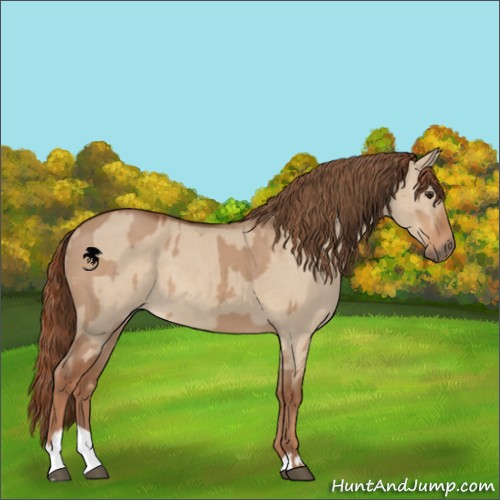 Horse Color:Red Dun  and Red Dun 