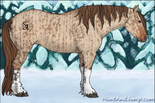 Horse Color:Liver Red Dun and Red Dun