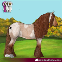 Horse Color:Red Dun Roan  and Red Dun Roan 