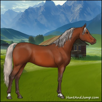 Horse Color:Silver Bay 