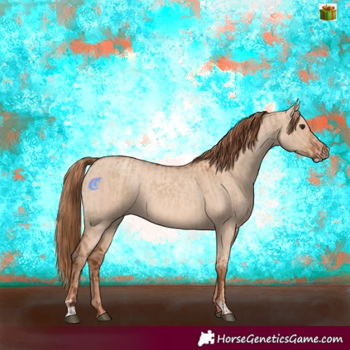 Horse Color:Red Dun  and Gold Champagne Dun 