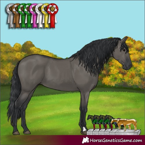 Horse Color:Grullo 