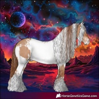 Horse Color:White Spotted Red Dun and White Spotted Red Dun Splash