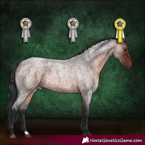 Horse Color:Brown Roan