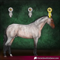 Horse Color:Brown Roan