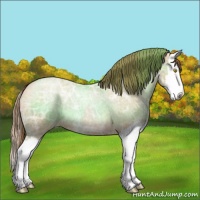 Horse Color:Bay Ice Roan Pearl Splash 