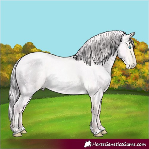 Horse Color:Silver Amber Cream Champagne Ice Roan Pearl Dun 