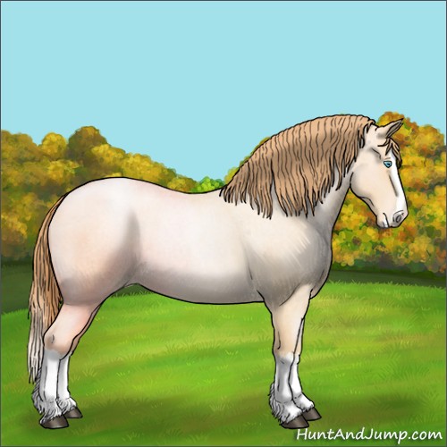 Horse Color:Buckskin Roan Pearl Splash