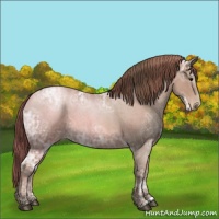 Horse Color:Blue Ice Roan Pearl 