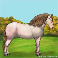 Horse Color:Bay Ice Roan Pearl 