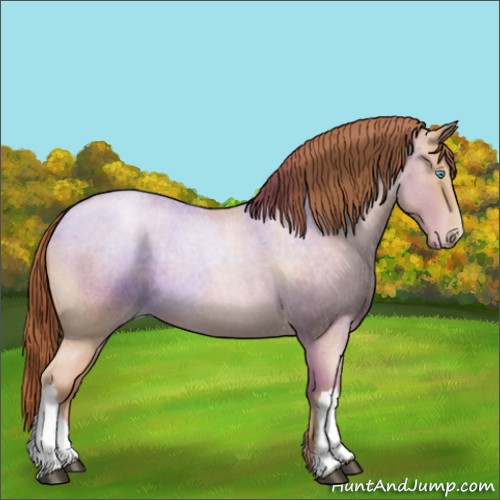Horse Color:Buckskin Roan Pearl