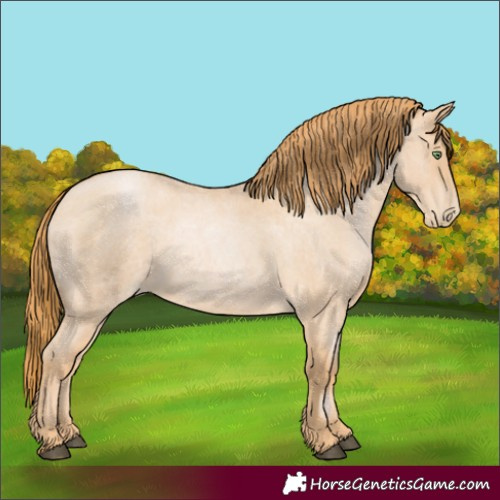 Horse Color:Red Roan Pearl
