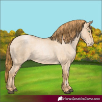Horse Color:Red Roan Pearl 