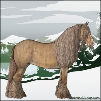 Horse Color:Liver Red Dun  and Chocolate Palomino Dun 