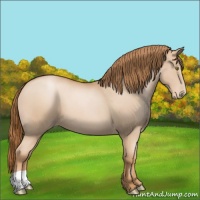 Horse Color:Chestnut Pearl 