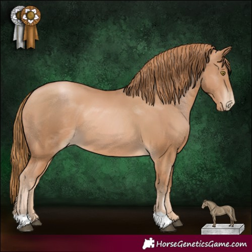 Horse Color:Chestnut Pearl 