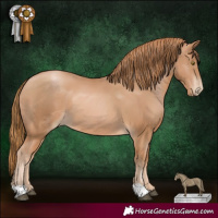 Horse Color:Chestnut Pearl