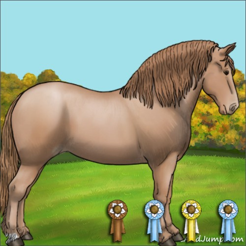 Horse Color:Black Pearl 