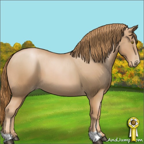 Horse Color:Chestnut Pearl 
