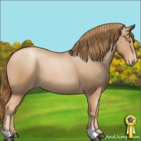 Horse Color:Chestnut Pearl