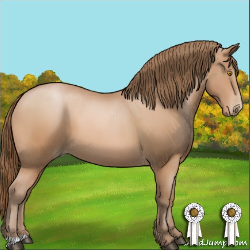 Horse Color:Bay Pearl 