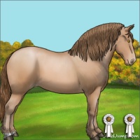 Horse Color:Bay Pearl 