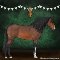 Horse Color:Bay Roan 