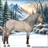 Horse Color:Silver Brown Roan Dun 