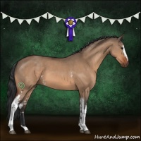 Horse Color:White Spotted Bay Dun 