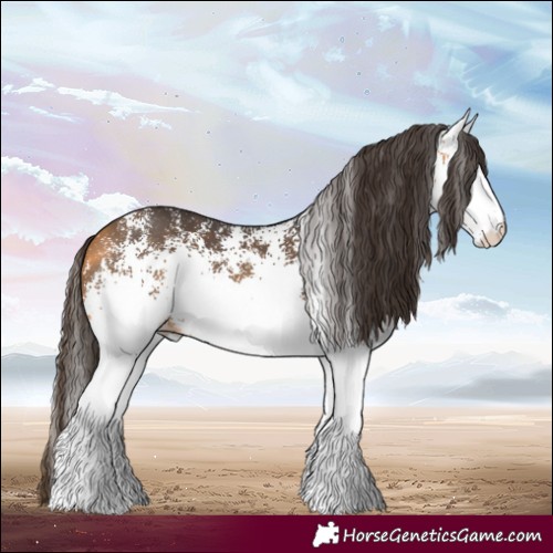Horse Color:White Spotted Buckskin 