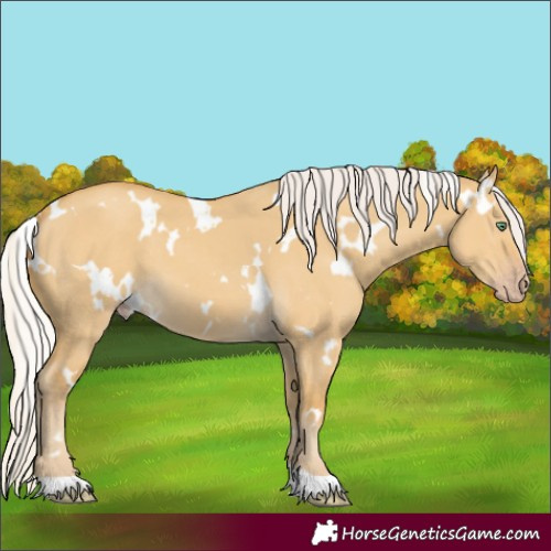 Horse Color:White Spotted Silver Classic Cream Champagne Dun
