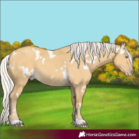 Horse Color:White Spotted Silver Classic Cream Champagne Dun 