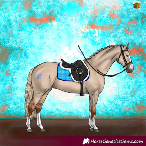 Horse Color:Red Dun  and Red Dun 