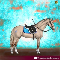 Horse Color:Red Dun and Red Dun