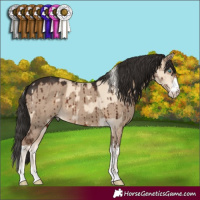 Horse Color:Cremello Dun Brindle  and White Spotted Liver Red Dun Brindle 