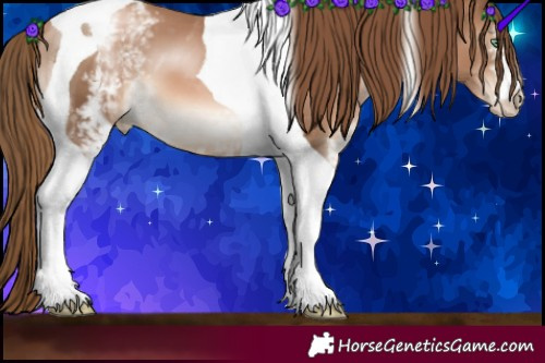 Horse Color:White Spotted Liver Chestnut Pearl Tobiano 