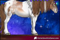 Horse Color:White Spotted Liver Chestnut Pearl Tobiano 