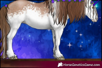 Horse Color:White Spotted Brown Pearl Sabino Rabicano