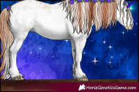 Horse Color:White Spotted Sable Champagne Pearl Rabicano