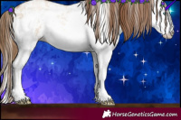 Horse Color:White Spotted Liver Red Dun Pearl Rabicano 