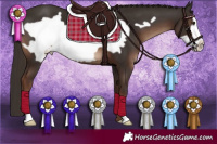 Horse Color:Liver Chestnut Frame 