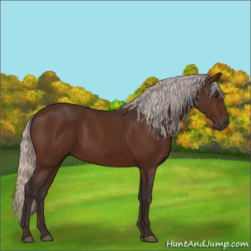 Horse Color:Silver Brown 