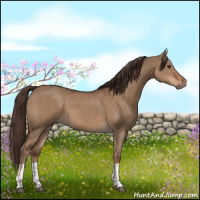 Horse Color:Liver Red Dun  and Liver Red Dun 