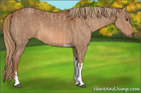 Horse Color:Red Dun Tobiano  and Chestnut Tobiano 